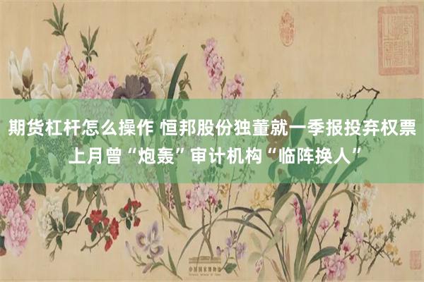 期货杠杆怎么操作 恒邦股份独董就一季报投弃权票 上月曾“炮轰”审计机构“临阵换人”