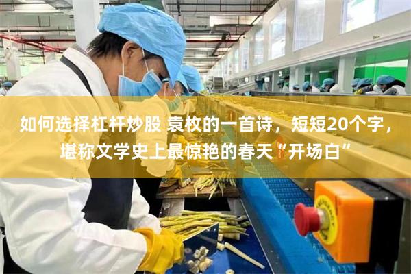 如何选择杠杆炒股 袁枚的一首诗，短短20个字，堪称文学史上最惊艳的春天“开场白”