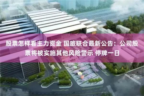股票怎样看主力资金 国旅联合最新公告：公司股票将被实施其他风险警示 停牌一日