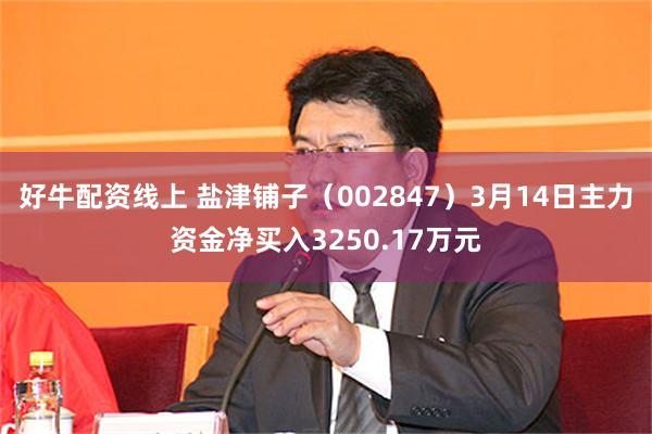好牛配资线上 盐津铺子（002847）3月14日主力资金净买入3250.17万元