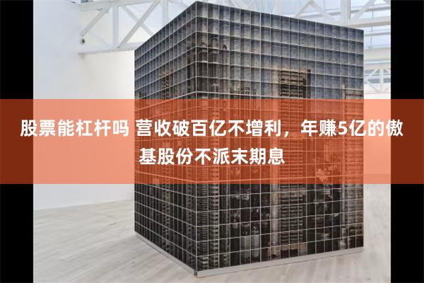 股票能杠杆吗 营收破百亿不增利，年赚5亿的傲基股份不派末期息