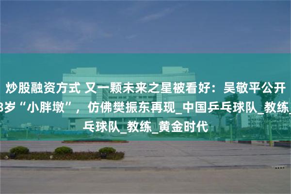 炒股融资方式 又一颗未来之星被看好：吴敬平公开称赞江苏8岁“小胖墩”，仿佛樊振东再现_中国乒乓球队_教练_黄金时代