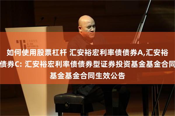 如何使用股票杠杆 汇安裕宏利率债债券A,汇安裕宏利率债债券C: 汇安裕宏利率债债券型证券投资基金基金合同生效公告