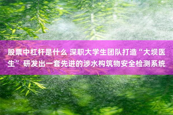 股票中杠杆是什么 深职大学生团队打造“大坝医生” 研发出一套先进的涉水构筑物安全检测系统