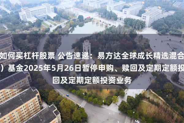 如何买杠杆股票 公告速递：易方达全球成长精选混合（QDII）基金2025年5月26日暂停申购、赎回及定期定额投资业务