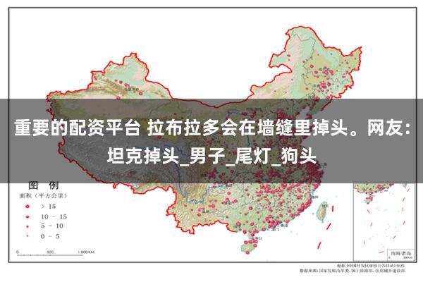 重要的配资平台 拉布拉多会在墙缝里掉头。网友：坦克掉头_男子_尾灯_狗头