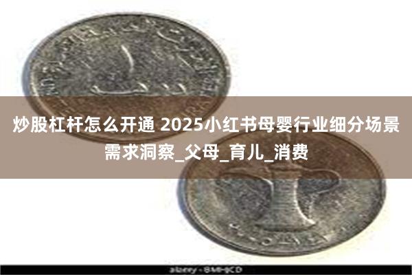 炒股杠杆怎么开通 2025小红书母婴行业细分场景需求洞察_父母_育儿_消费
