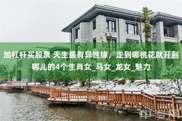 加杠杆买股票 天生最有异性缘，走到哪桃花就开到哪儿的4个生肖女_马女_龙女_魅力
