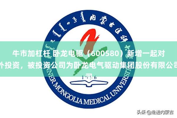 牛市加杠杆 卧龙电驱（600580）新增一起对外投资，被投资公司为卧龙电气驱动集团股份有限公司