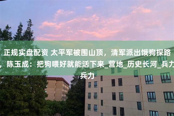 正规实盘配资 太平军被围山顶，清军派出饿狗探路，陈玉成：把狗喂好就能活下来_营地_历史长河_兵力